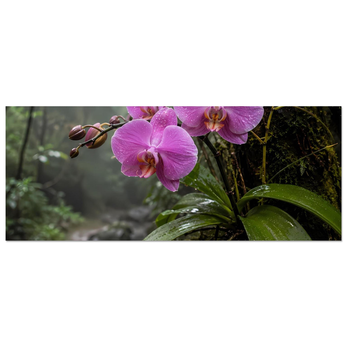 Querformat-Poster mit lila Orchideenblüten und grünen Blättern, tropischer Waldweg im Hintergrund