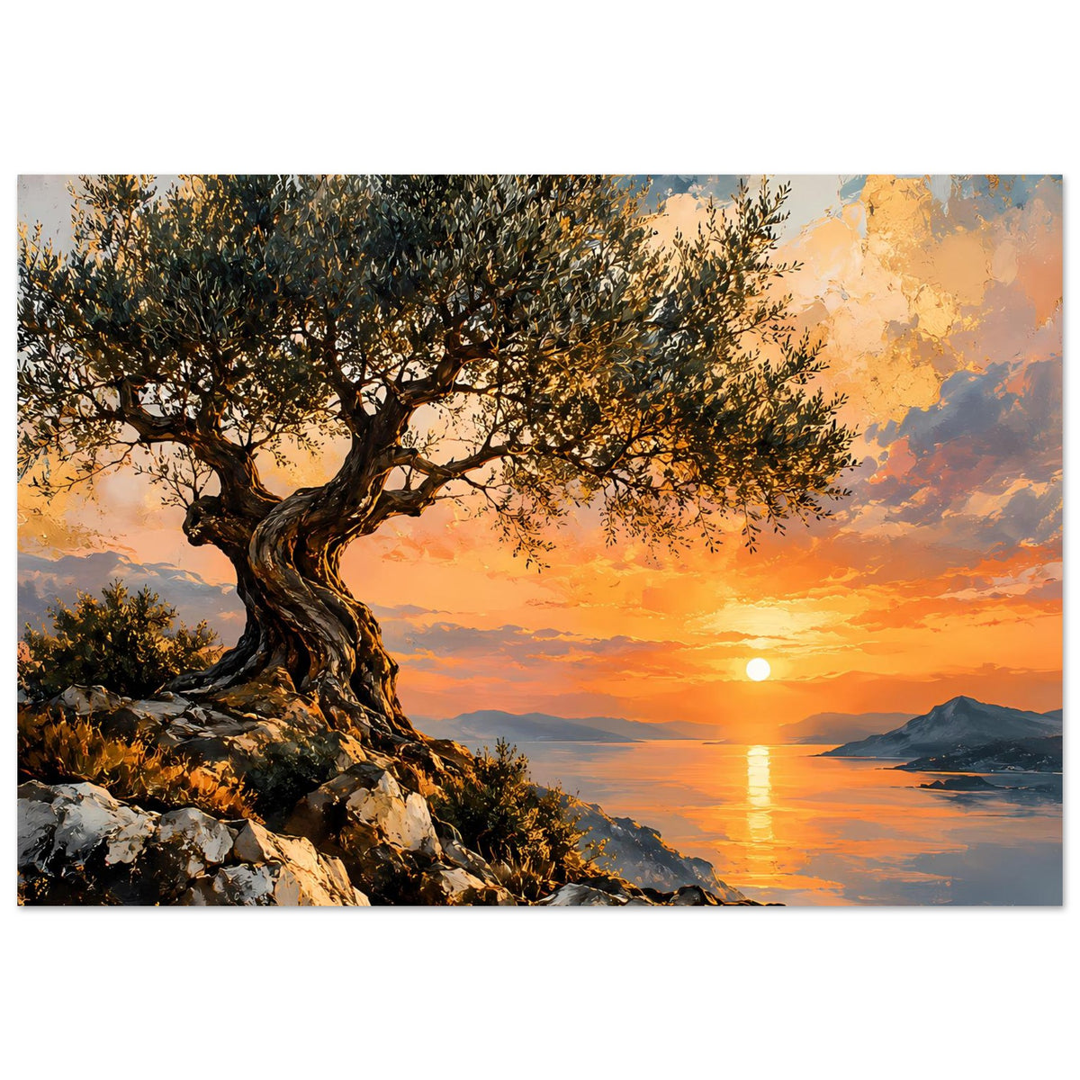 Poster im Querformat mit Olivenbaum am Hang, Sonnenuntergang und spiegelndem Wasser