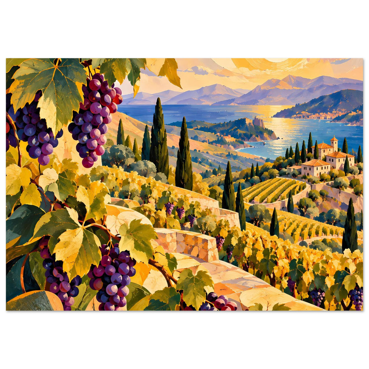 Landschaftsposter: mediterraner Weinberg mit Weintrauben im Vordergrund und Sonnenuntergang