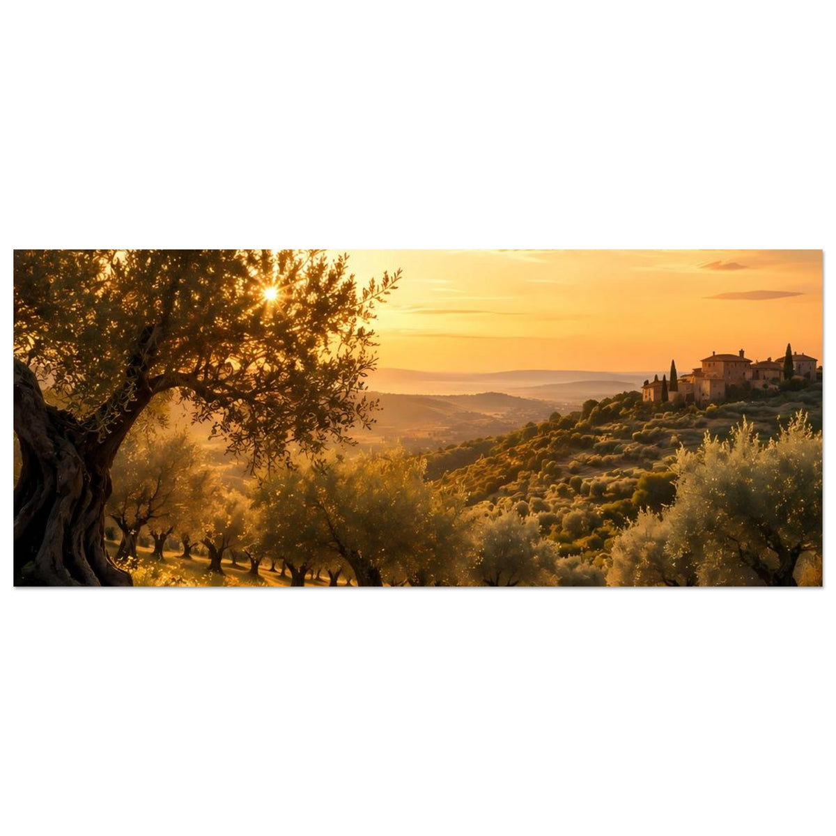Landschafts-Poster mit Olivenhain, Feldweg und Dorf im goldenen Abendlicht