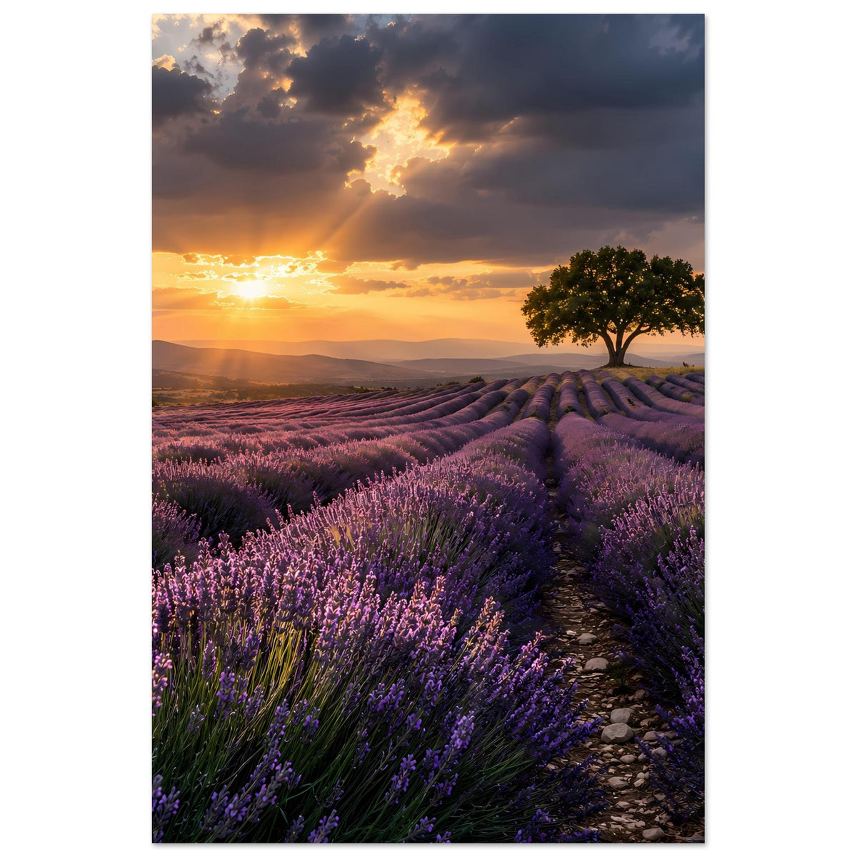 Gerahmtes Wandbild mit Lavendelfeldern, Steinpfad und leuchtendem Sonnenaufgang