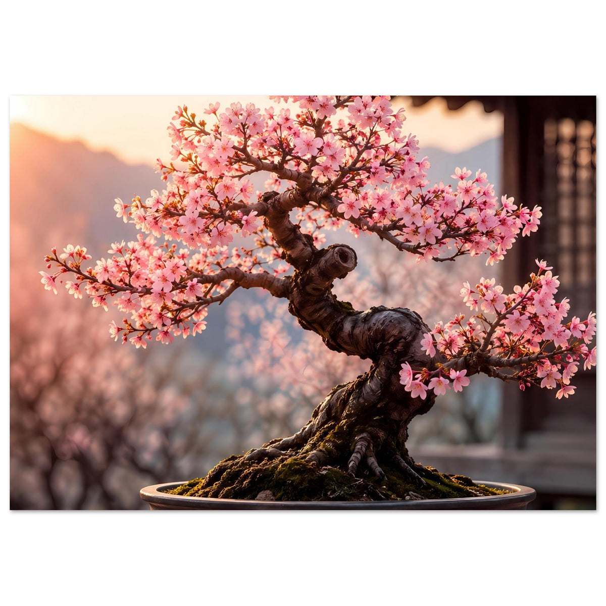 Poster: Bonsai-Baum mit rosa Blüten und gewundenem Stamm in brauner Schale
