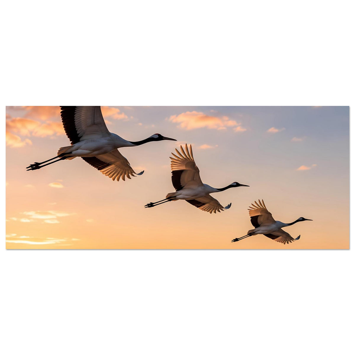 Horizontales Poster mit fliegenden Kranichen im Abendhimmel, oben abgeschnitten
