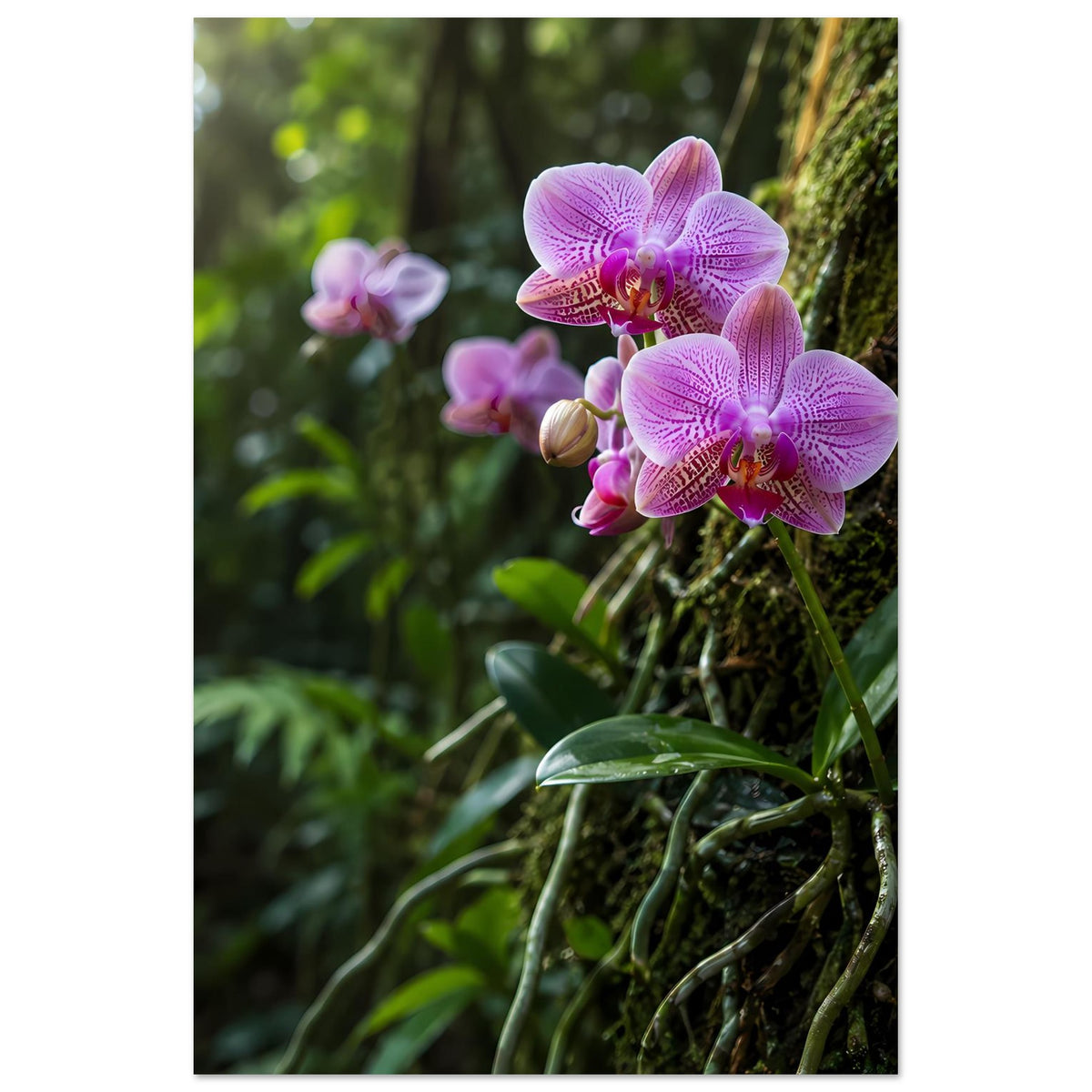 Botanisches Poster mit großen pinken Orchideenblüten auf Moos, Hochformat