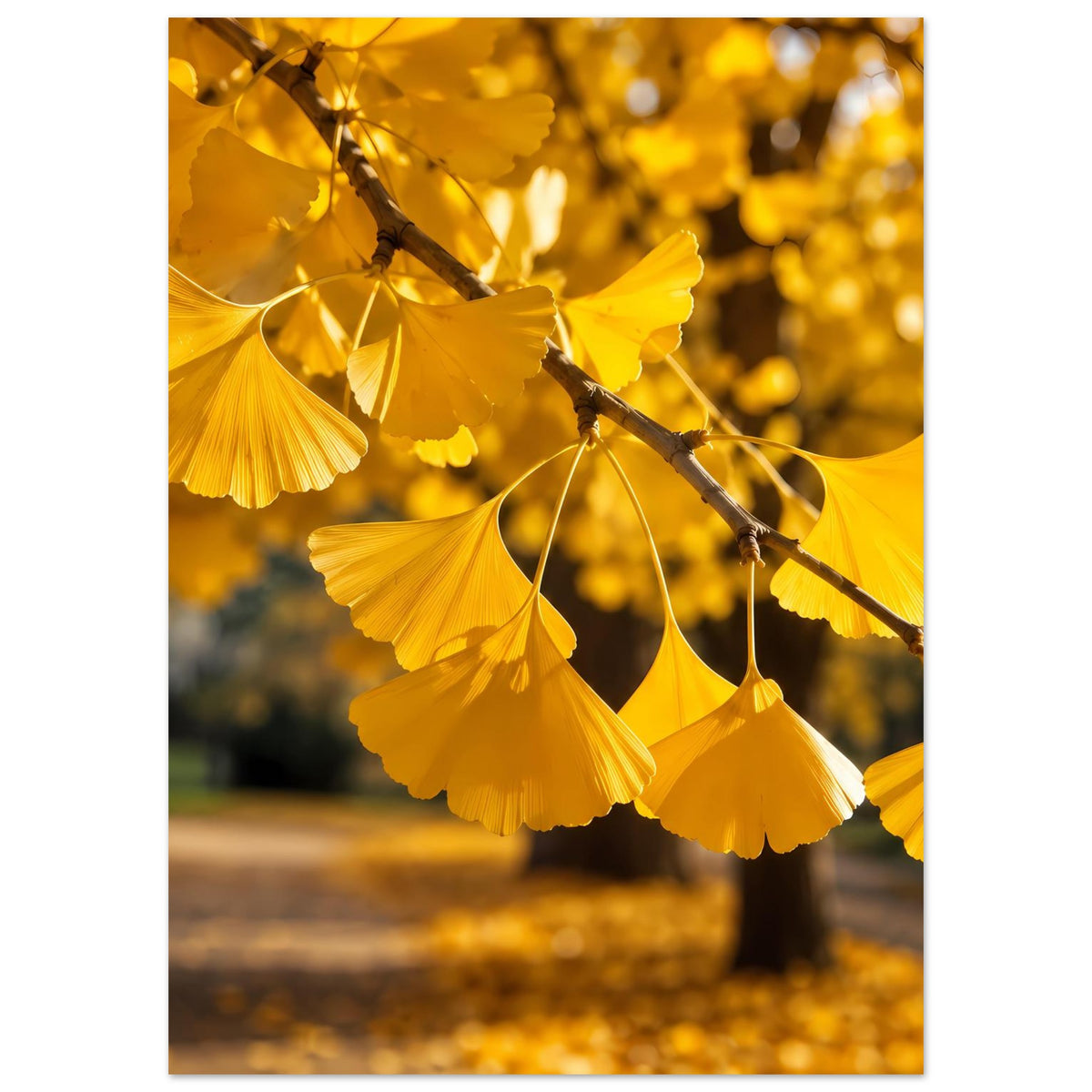 Poster mit Ginkgo-Blättern in strahlendem Gold am Zweig