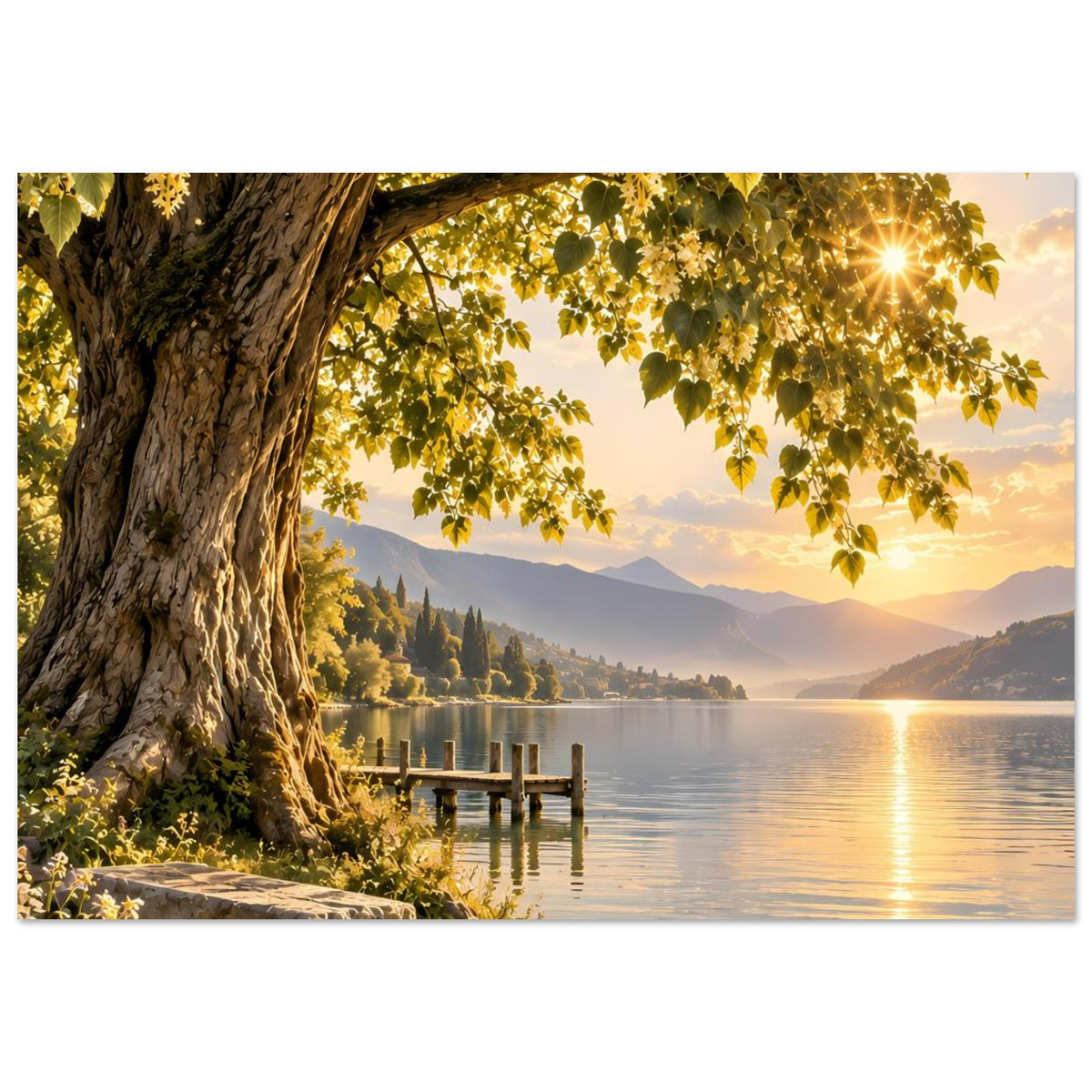 Poster mit Baumstamm, Blätterkranz und Holzsteg am ruhigen See bei warmem Sonnenlicht