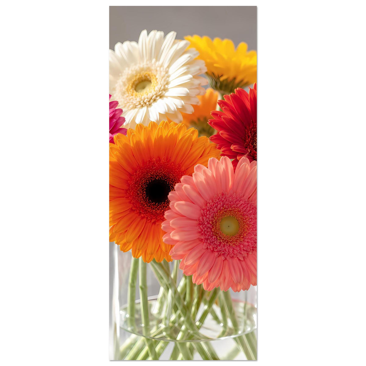 Vertikales Poster mit Gerbera-Blumenstrauß, enger Ausschnitt mit Glasvase