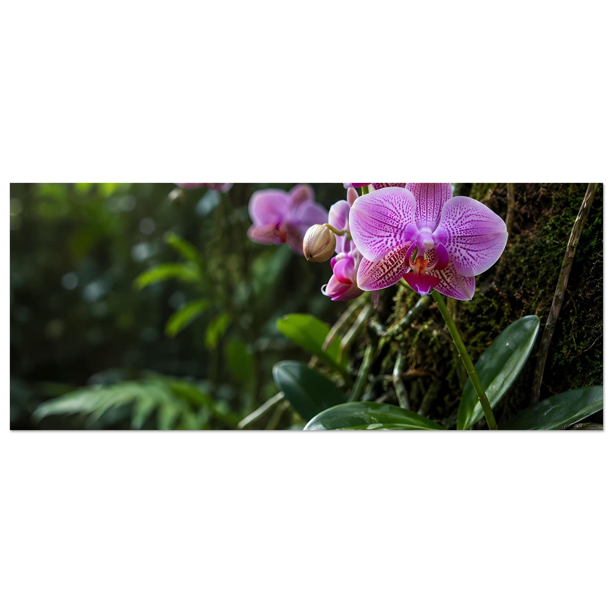 Botanisches Poster in Panoramaformat mit violetten Orchideenblüten und grünen Blättern
