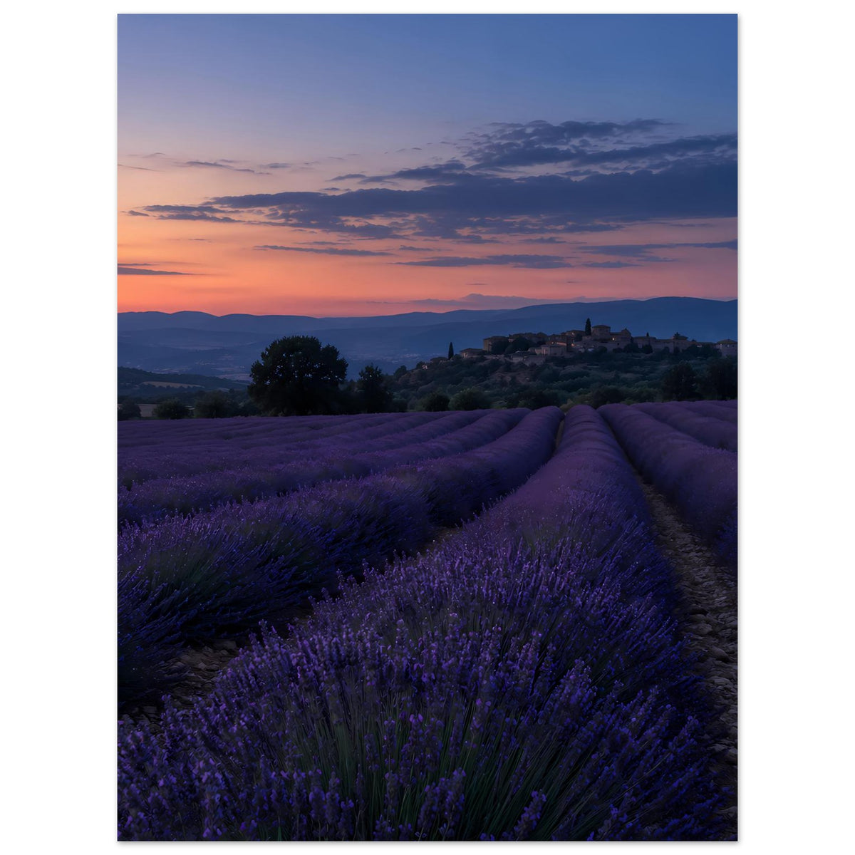Vertikales, blau gerahmtes Poster mit Lavendelfeldreihen und Sonnenuntergang über der Landschaft