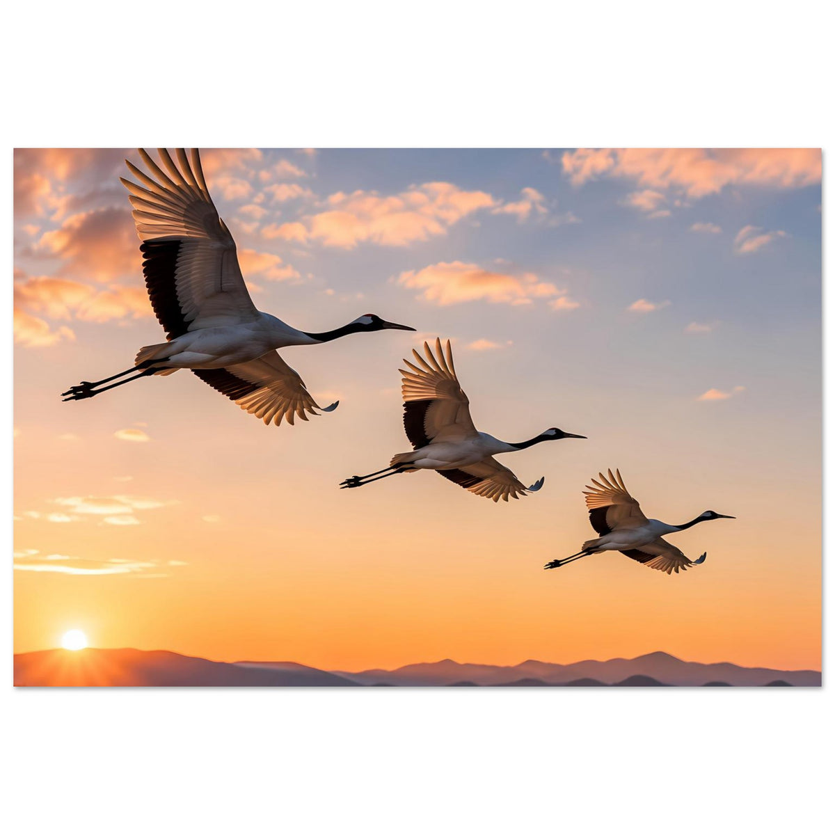 Poster mit drei Kranichen im Flug, großer Kranich links, zwei kleiner rechts