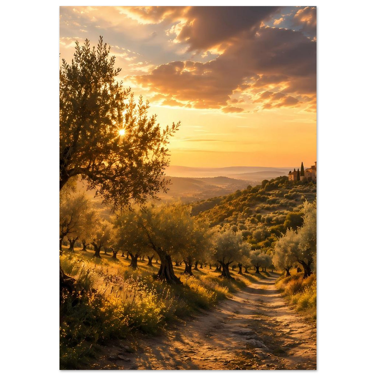 Hochformat-Poster mit Olivenbäumen, langem Feldweg und Dorfkulisse im goldenen Licht