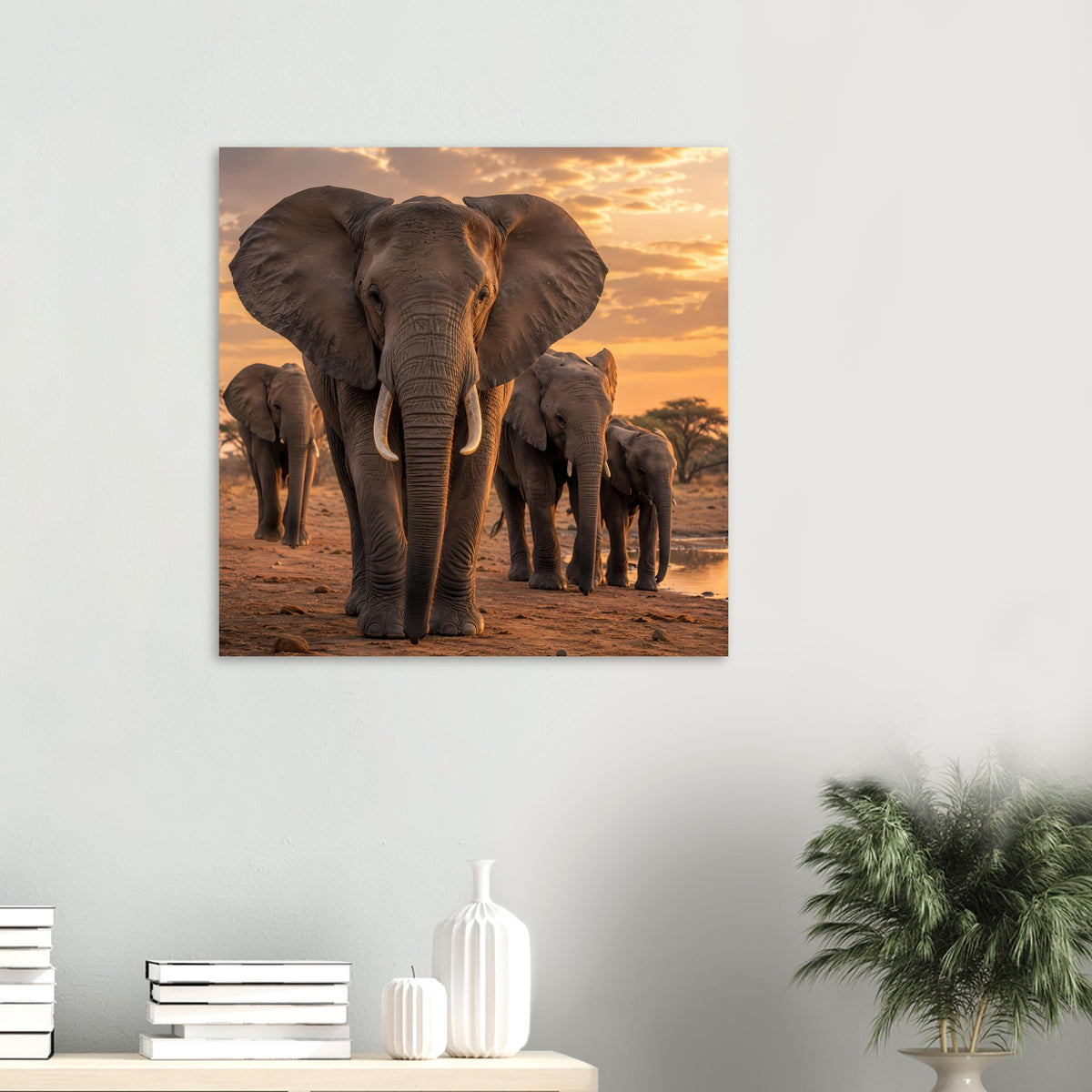 Quadratisches Poster: Elefantenherde mit zentralem Elefant im warmen Sonnenuntergang