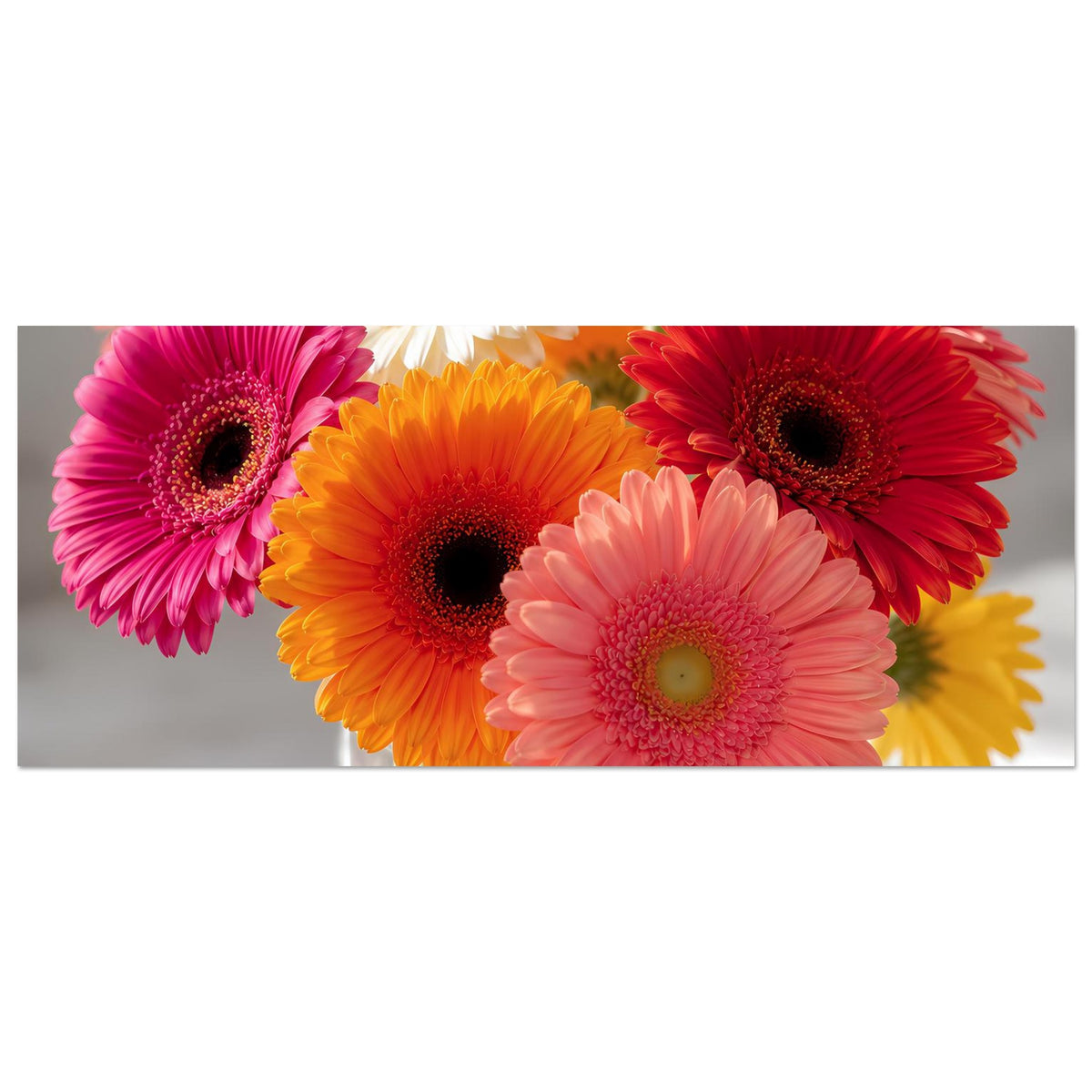 Horizontales Poster mit Gerbera-Blütenstrauß in klarer Glasvase, warmfarbig