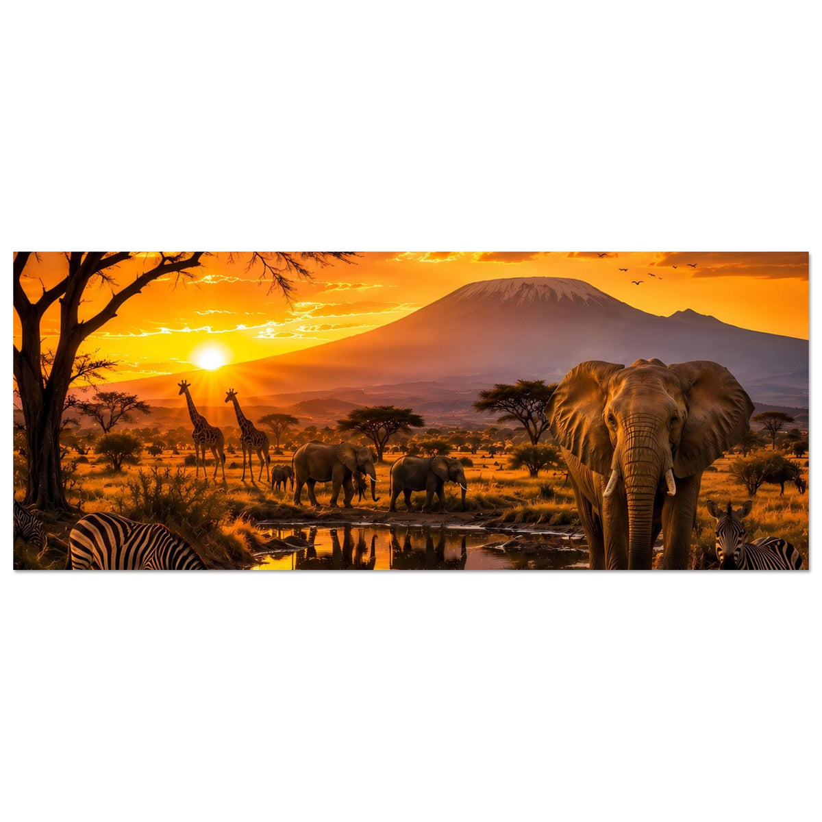 Afrika-Wildtiere-Poster, horizontal: Elefant und Zebras am Wasser, Giraffen in der Savanne
