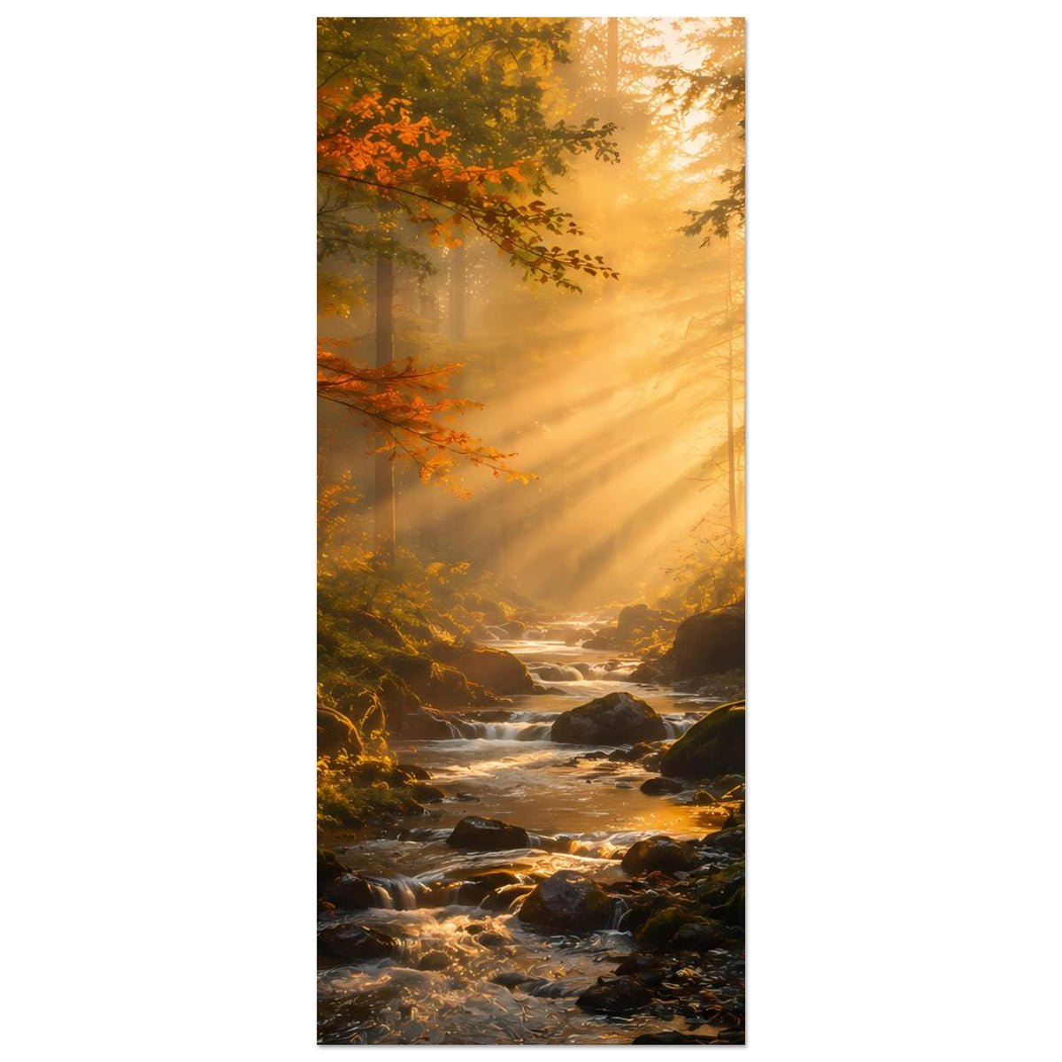 Wandposter vertikal: Wald bei Sonnenaufgang mit Bach zwischen Steinen und warmem Licht