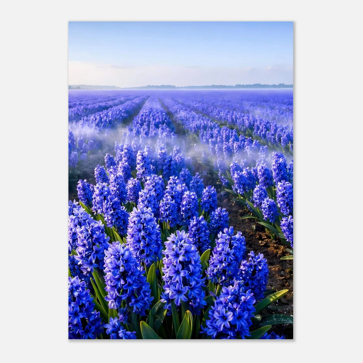d18c71d0-42e9-4f77-86e2-cf41f11e1ecb