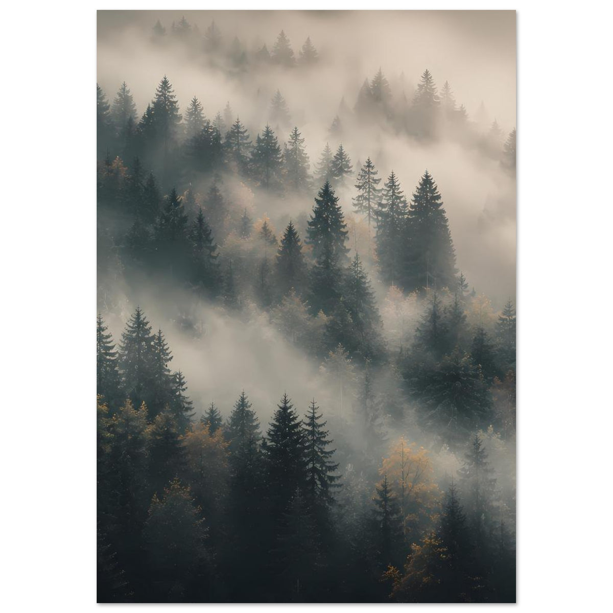 Hochformat-Poster: Tannenwald in Nebelschwaden, klar erkennbarer Vorder- und Hintergrund