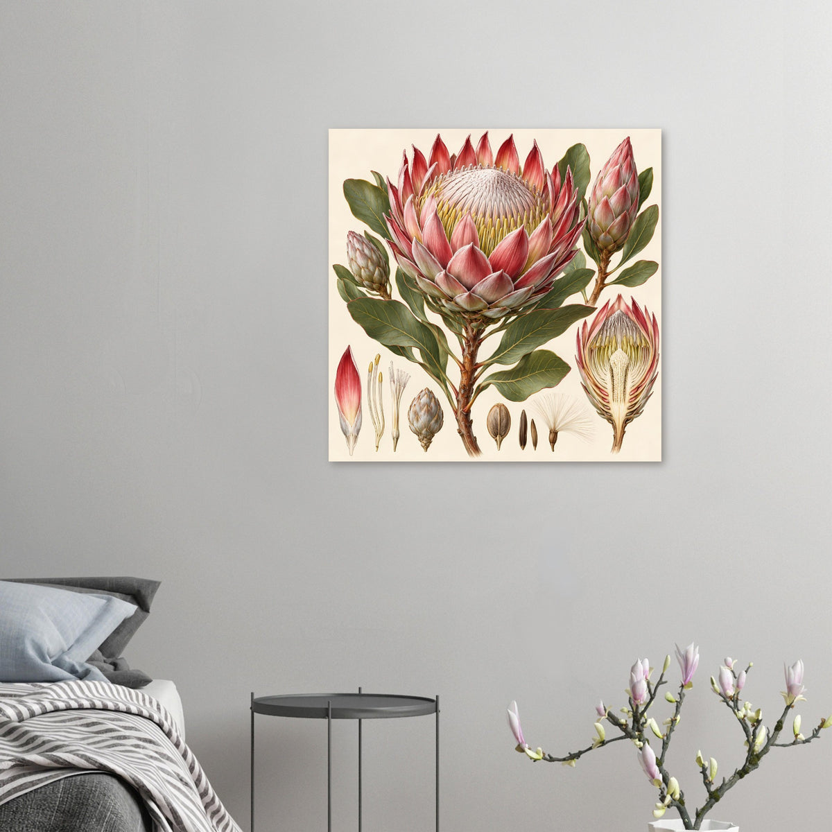 Kleines Poster mit Protea-Blumenillustration, zentrale Blüte und mehrere Nebenblüten