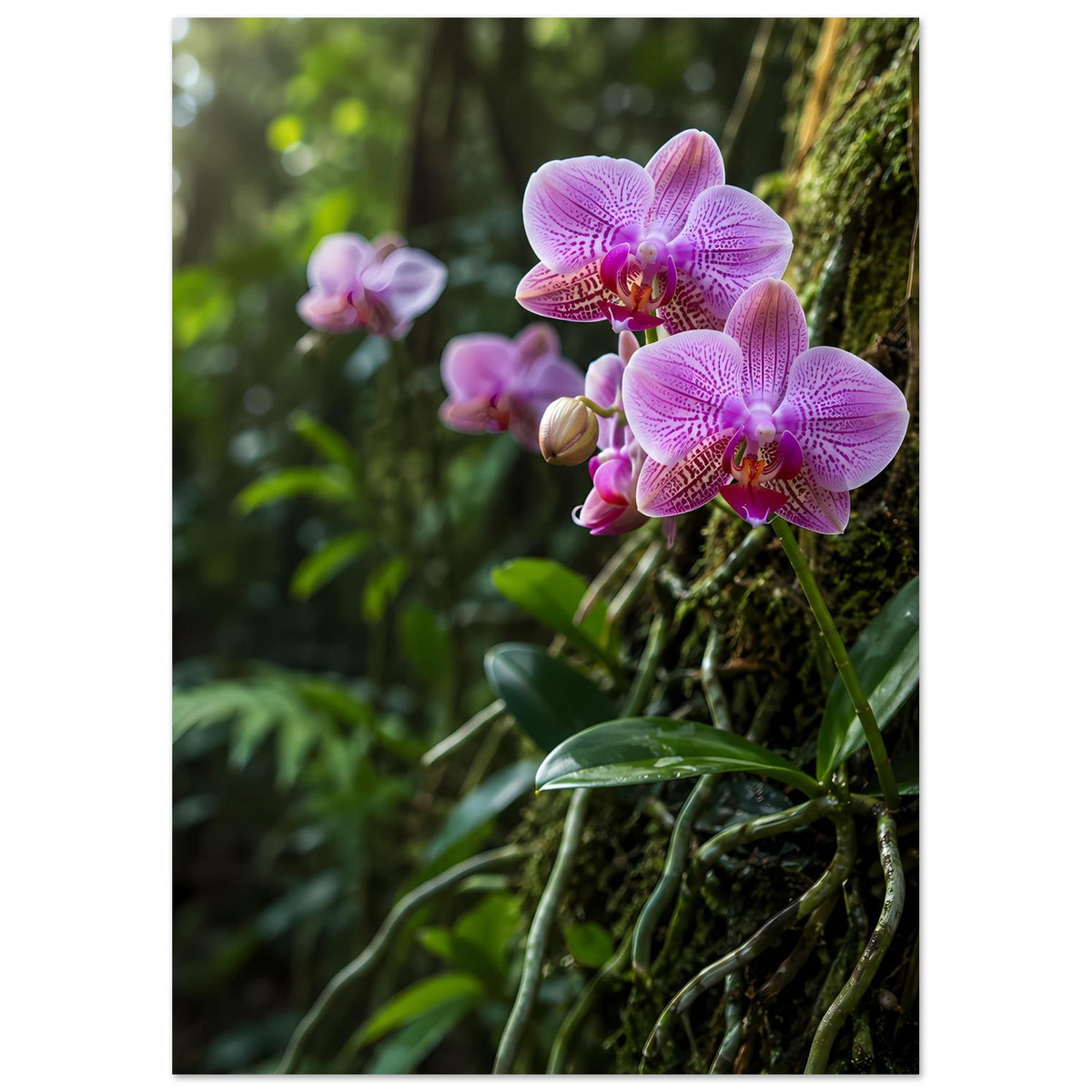 Botanisches Poster mit violetten Orchideenblüten und grünen Blättern, klarer Mittelteil