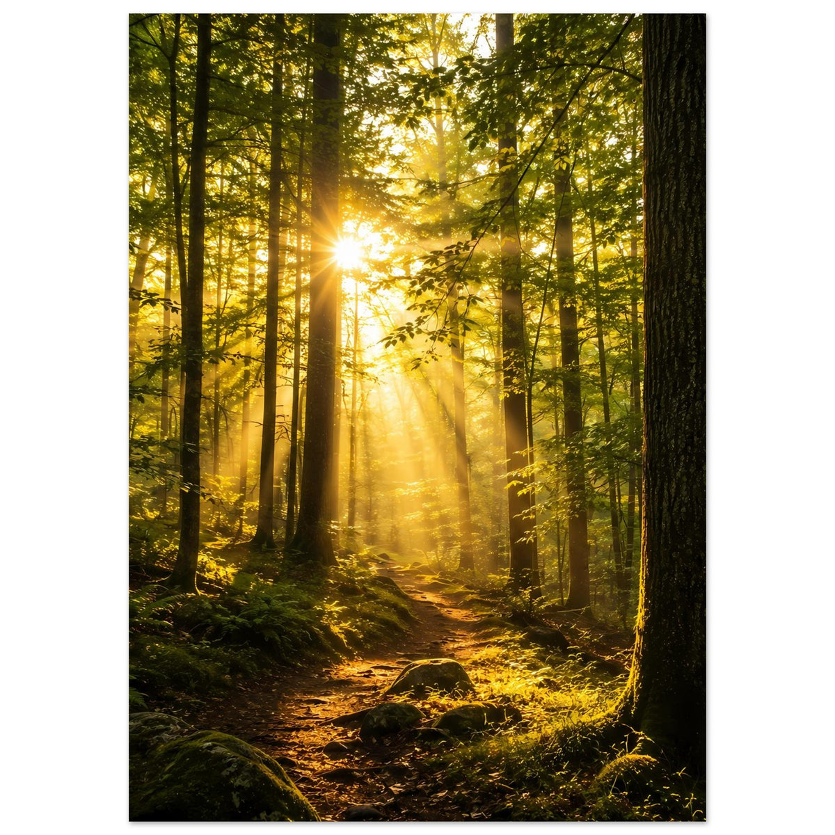 Poster Waldsonnenaufgang im Hochformat, goldenes Sonnenlicht durch grünen Wald