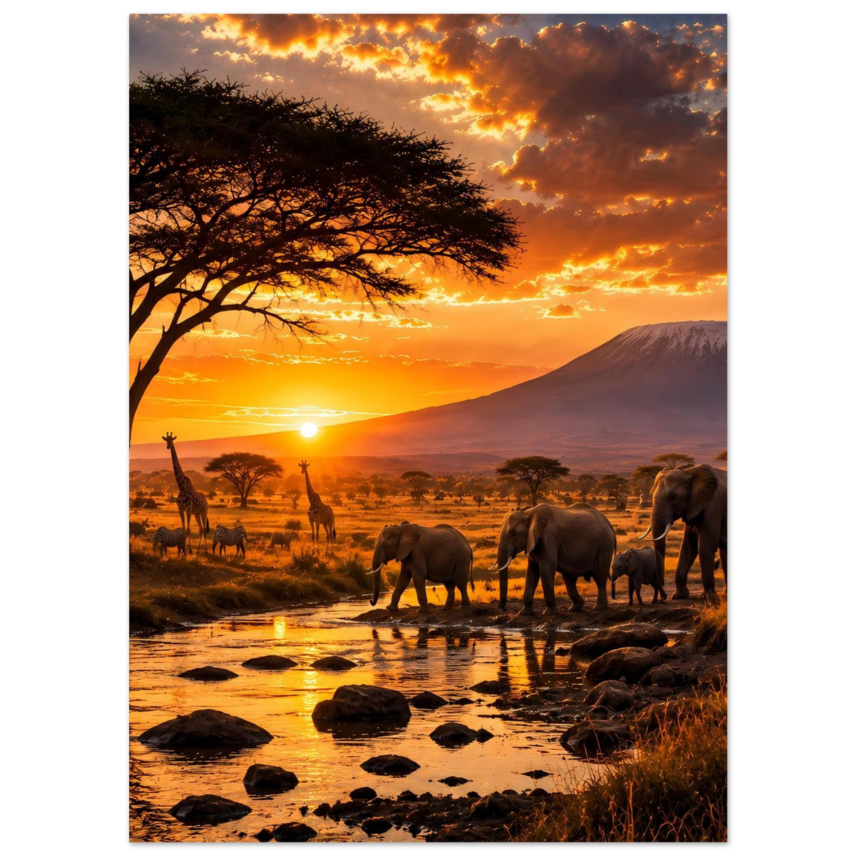 Safari-Sonnenuntergangsposter: Elefanten am flachen Wasser, Akazienbaum und Dunst über dem Berg