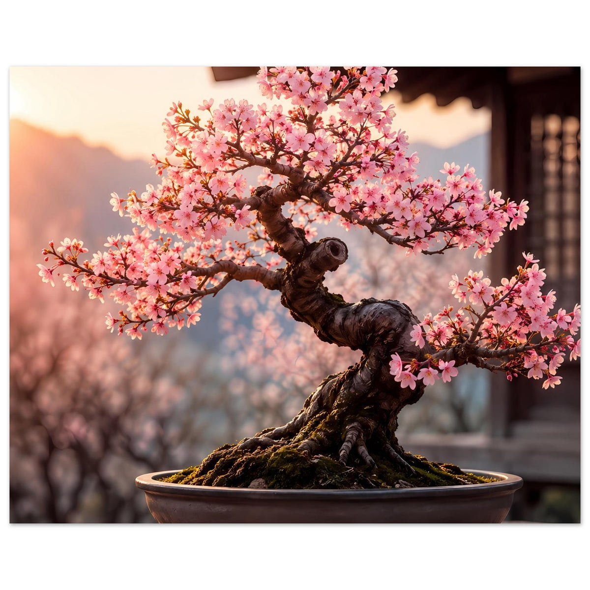 Bonsai-Poster mit rosa Blüten und dunkler Schale, gedrehter Baumform mit kräftigen Ästen