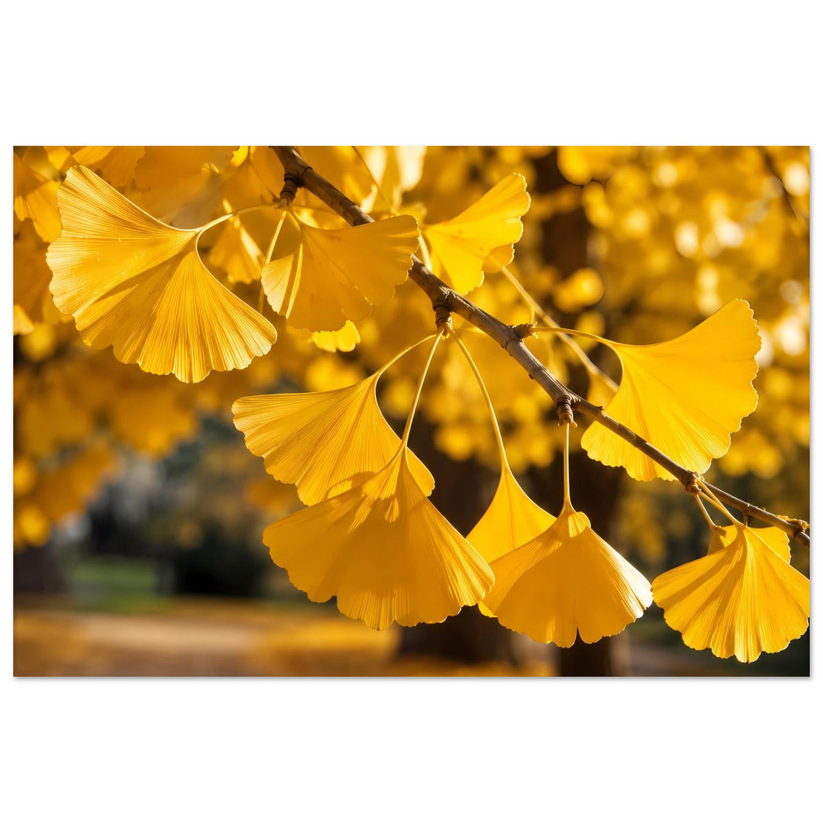 Poster mit goldenen Ginkgo-Blättern, dunkler Ast im Vordergrund