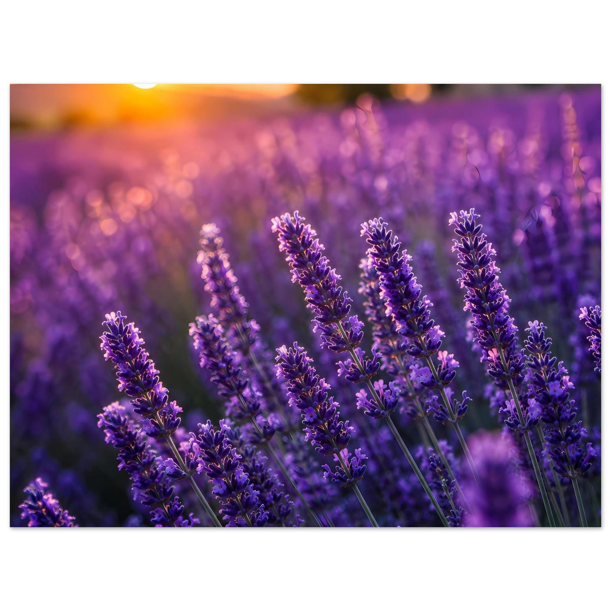 d9da4805-fa7b-44e8-a6fb-6072d5291b8d