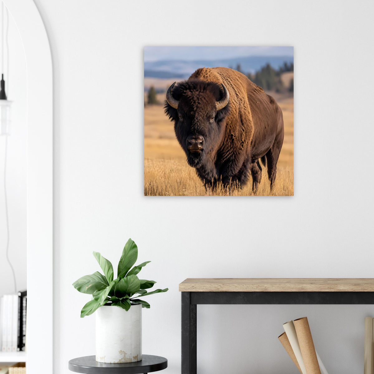 Wildtierposter mit braunem Bison im Feld, quadratisch
