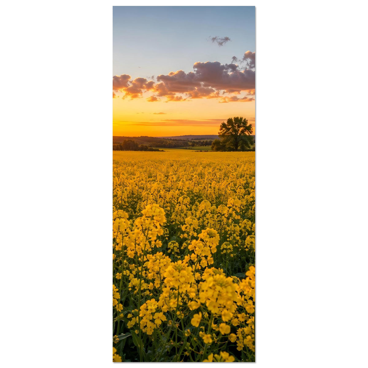 Vertikales Landschaftsposter mit gelben Blüten, Sonnenuntergang und Baumreihe am Horizont