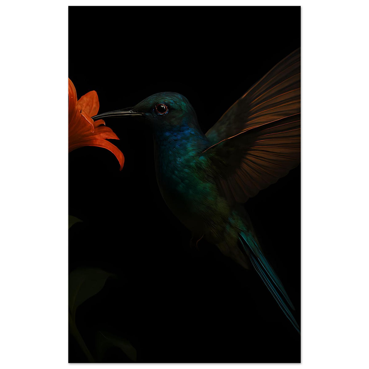 Poster im Hochformat mit Kolibri: türkiser Vogel, orangefarbene Lilie, dunkler Hintergrund