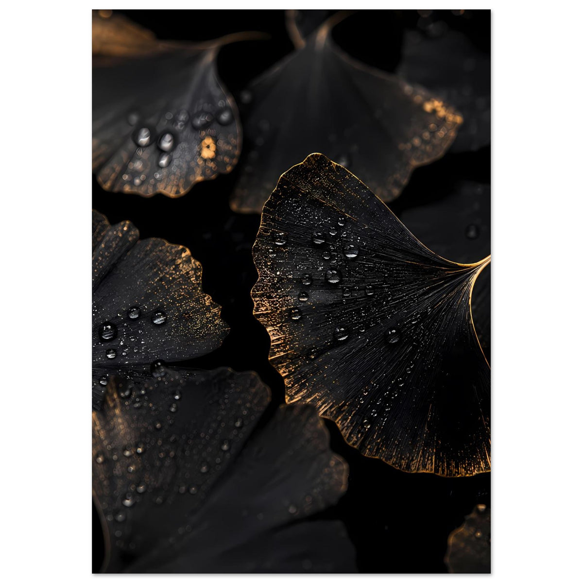 Poster im Hochformat: schwarze Ginkgo-Blätter mit goldener Kante und vielen Wassertropfen