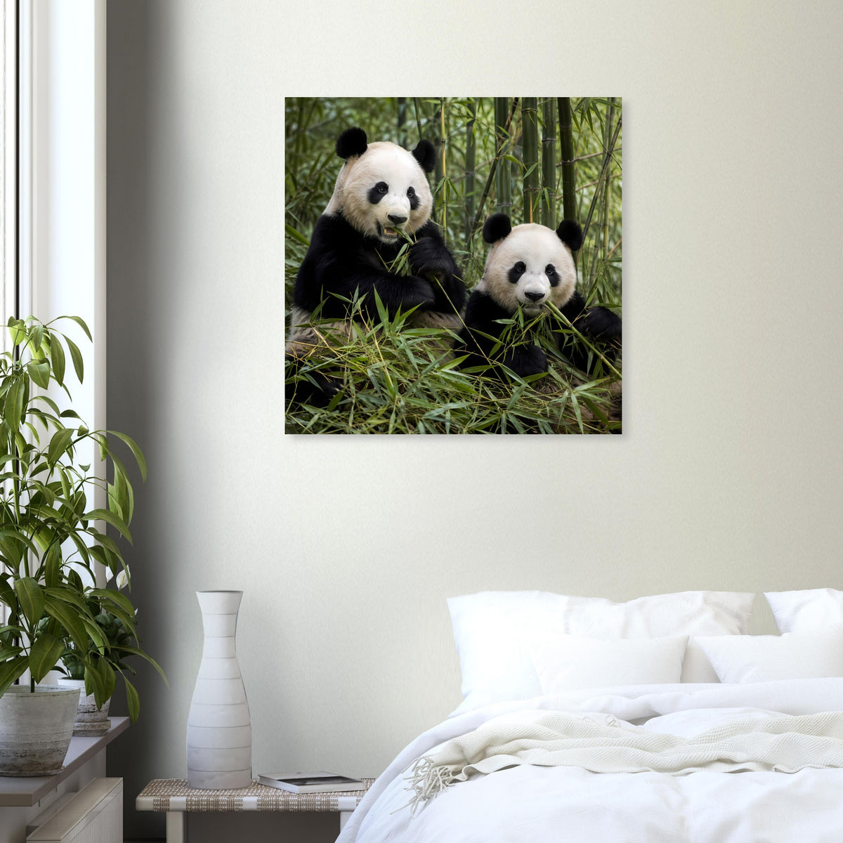 Wandposter mit zwei Pandas auf Bambusgras, quadratisches Motiv