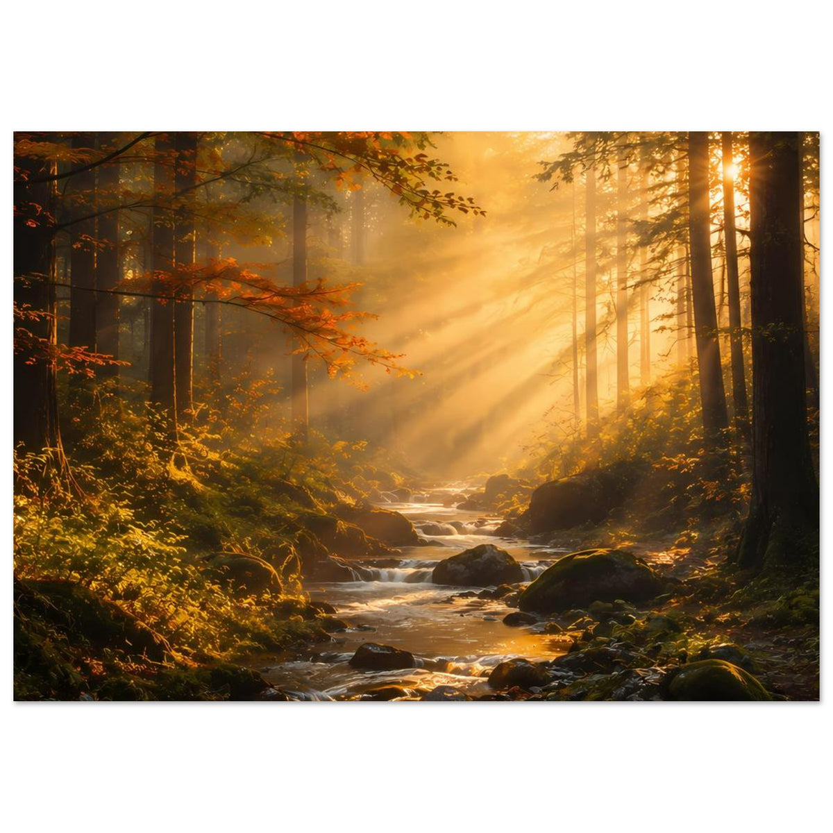 Poster Wald-Sonnenaufgang quer: Sonnenstrahlen über Felsbach, Herbstlaub an Ästen, warmes Licht