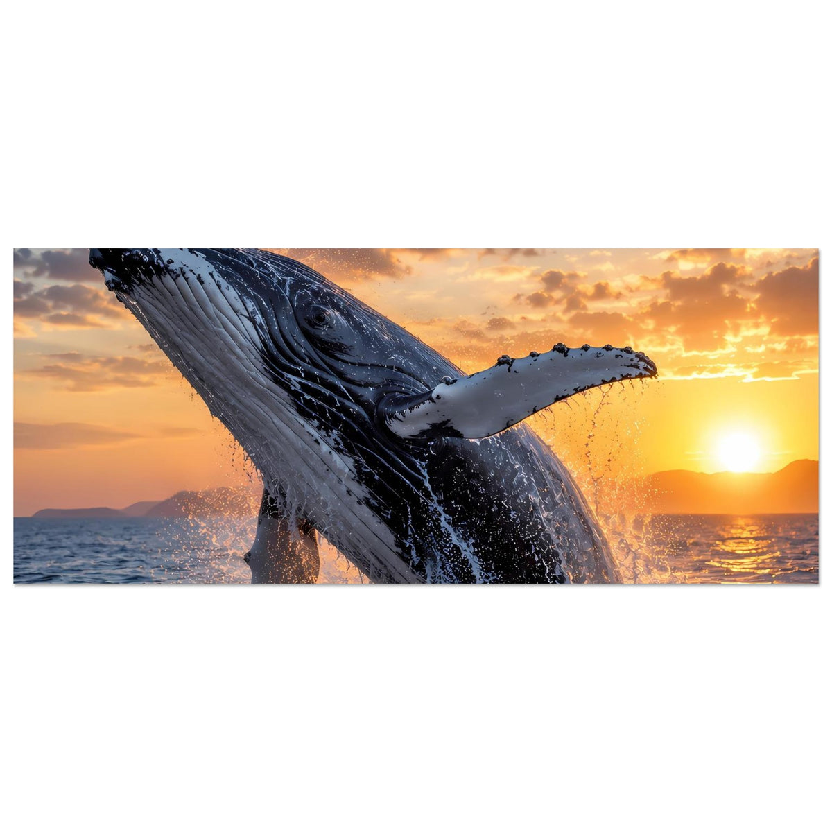 Horizontales Poster mit springendem Buckelwal, Meer und Sonnenuntergang im Hintergrund