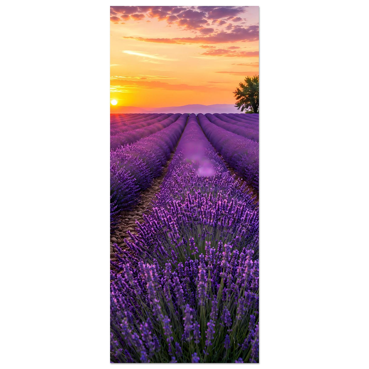 Vertikales Poster mit Lavendelfeldern und zentralem Pfad, Sonne am Horizont
