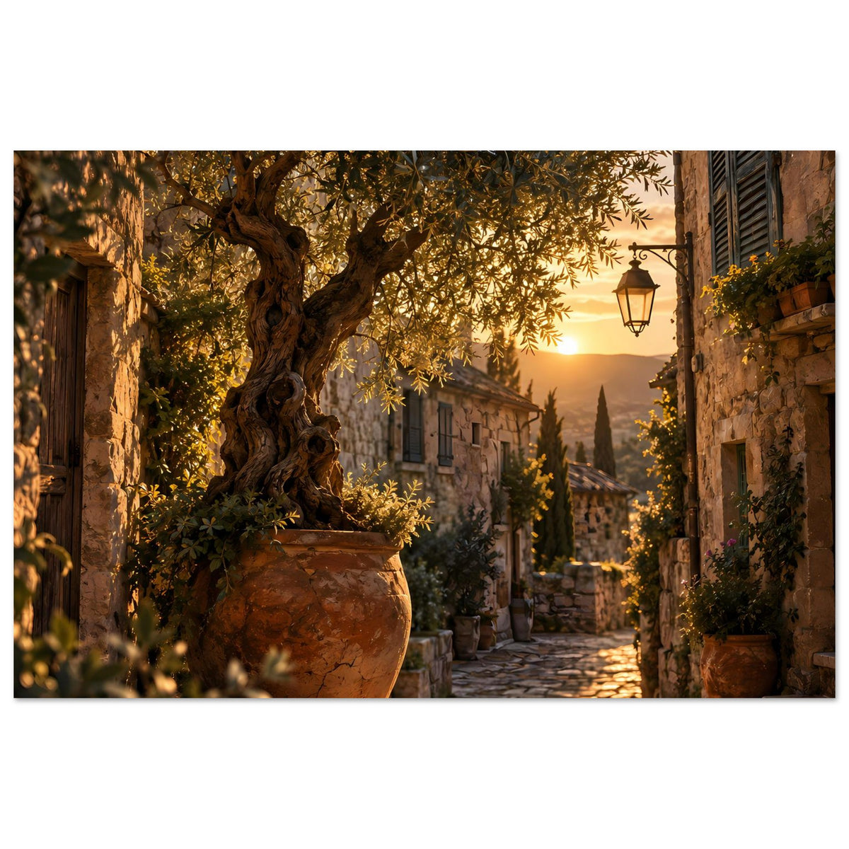 Sonnenuntergangs-Poster (Querformat): Mediterrane Straße mit Olivenbaum, warmes Abendgelb.