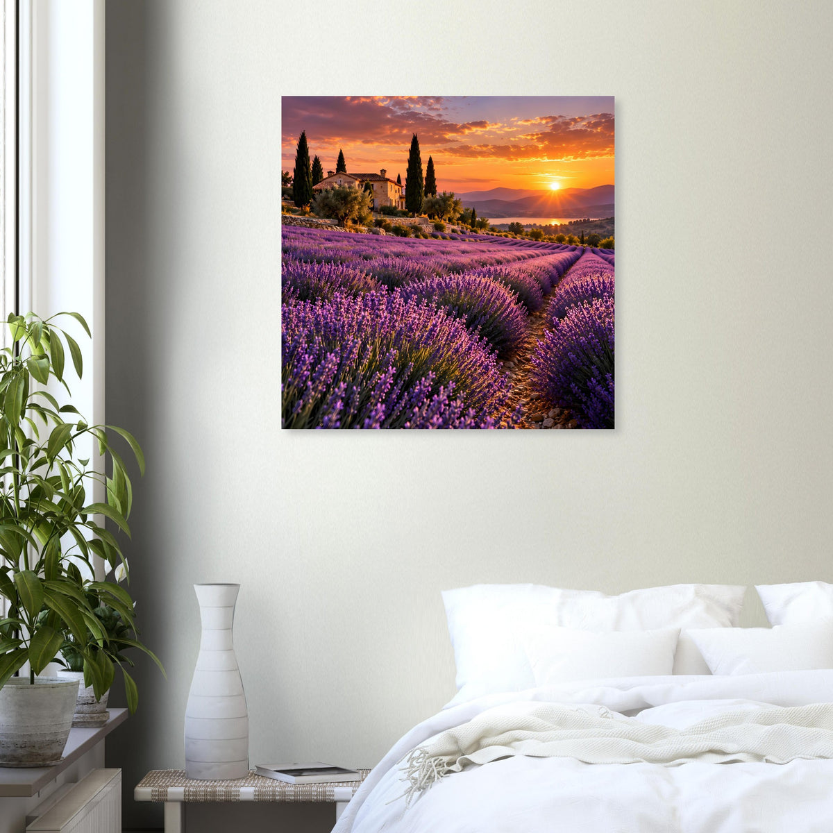 Quadratisches Poster mit Lavendelmeer und untergehender Sonne