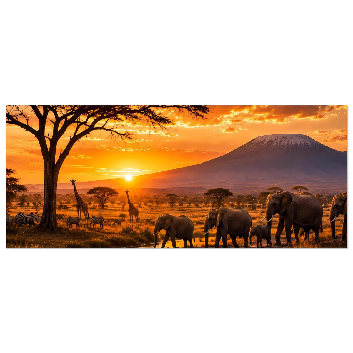 Horizontales Safari-Poster mit Elefanten, Akazienbaum und Sonnenuntergang über dem Fluss.