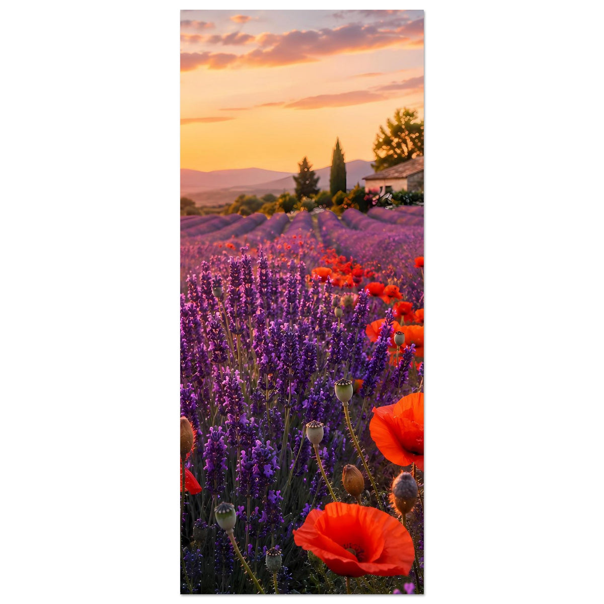 Vertikales Poster: Lavendelfeld mit roten Mohnblüten und Sonnenuntergang, Landhaus im Hintergrund