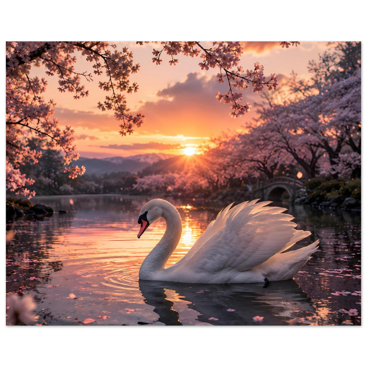 Schwanenmotiv-Poster: weißer Schwan auf dem See, goldroter Himmel, rosa Blüten am oberen Rand.