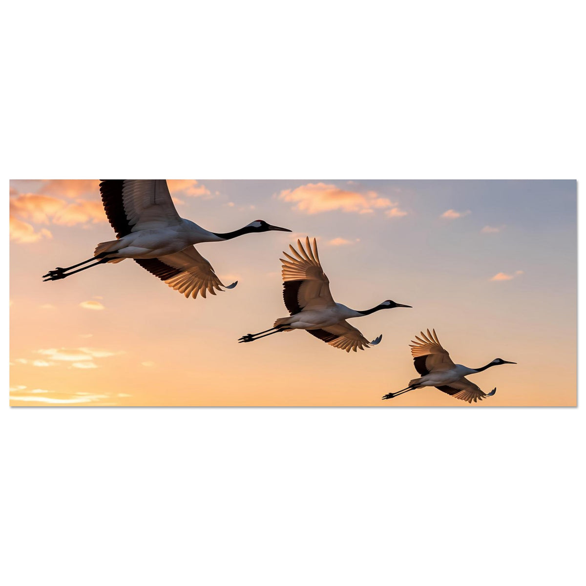 Horizontales Poster mit fliegenden Kranichen und warmen Sonnenuntergangswolken