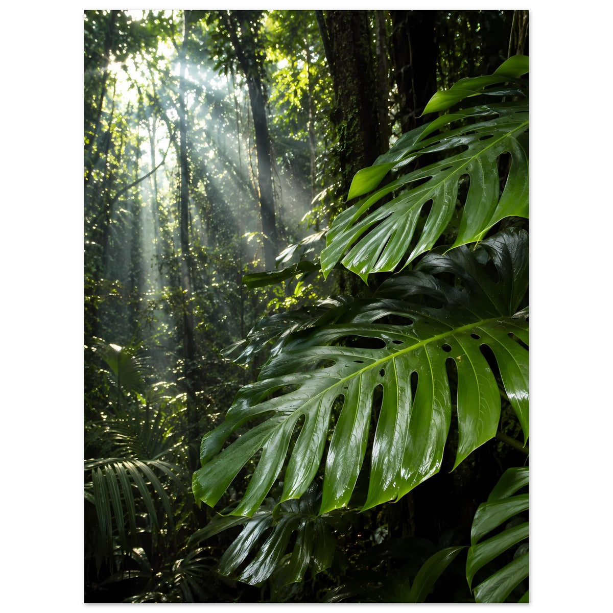 Poster mit großen grünen Dschungelblättern, Licht in den Baumreihen