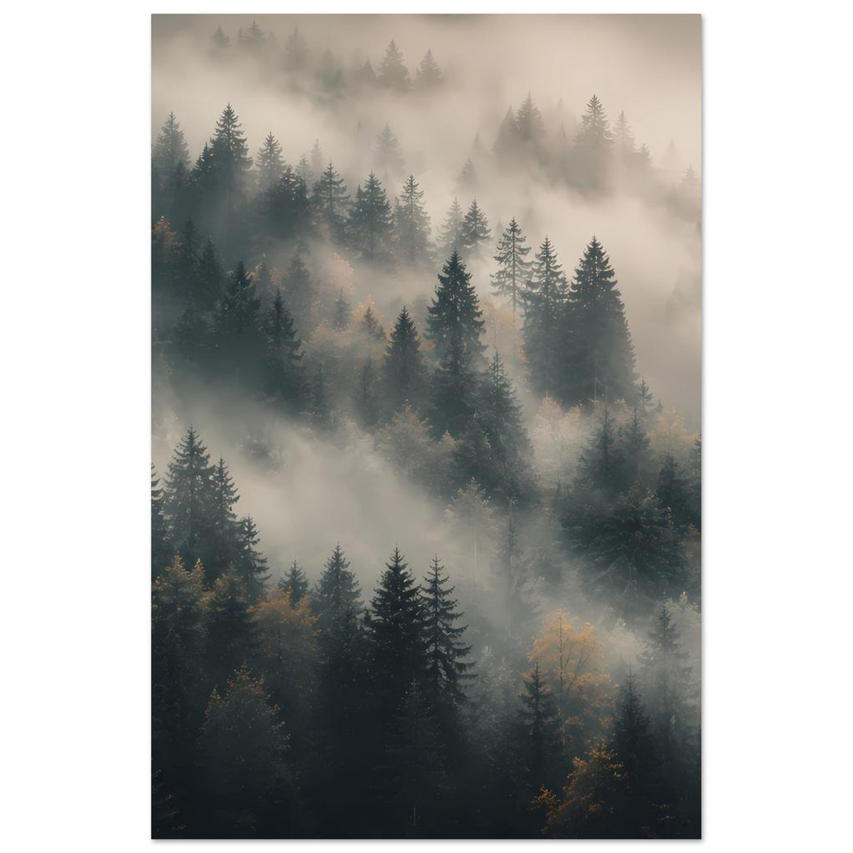 Hochformat-Poster mit Tannenwald und Nebel, ruhige Bergwaldszene mit mehreren Baumreihen