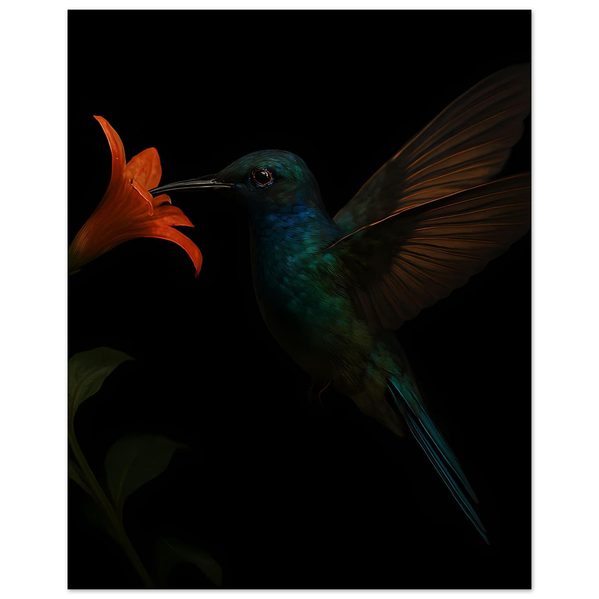 Kunstdruck: Kolibri in Petrol mit orangefarbener Blüte, klar erkennbare Flügel, dunkel