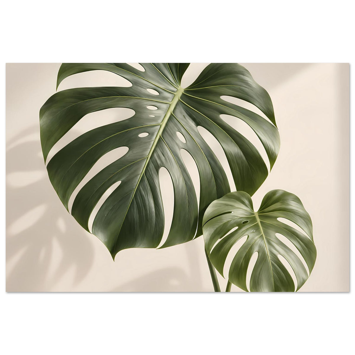 Monstera-Blattposter mit grünem Blattwerk: große Blattform links, zweite oben rechts