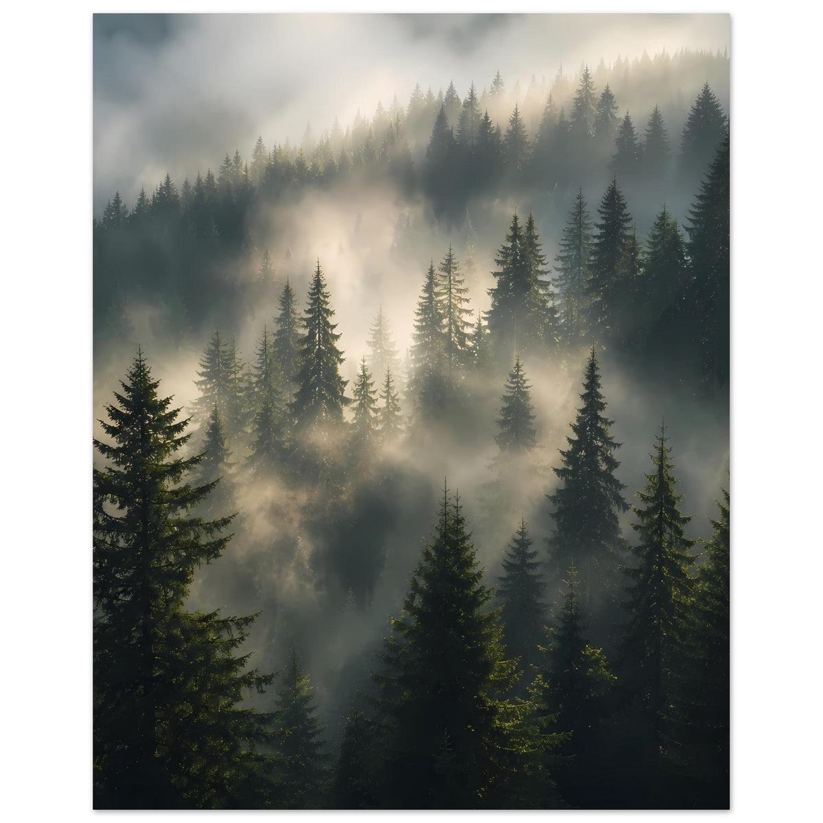 e6d0e5cb-a6fd-42b4-ad62-52d0a5f55971
