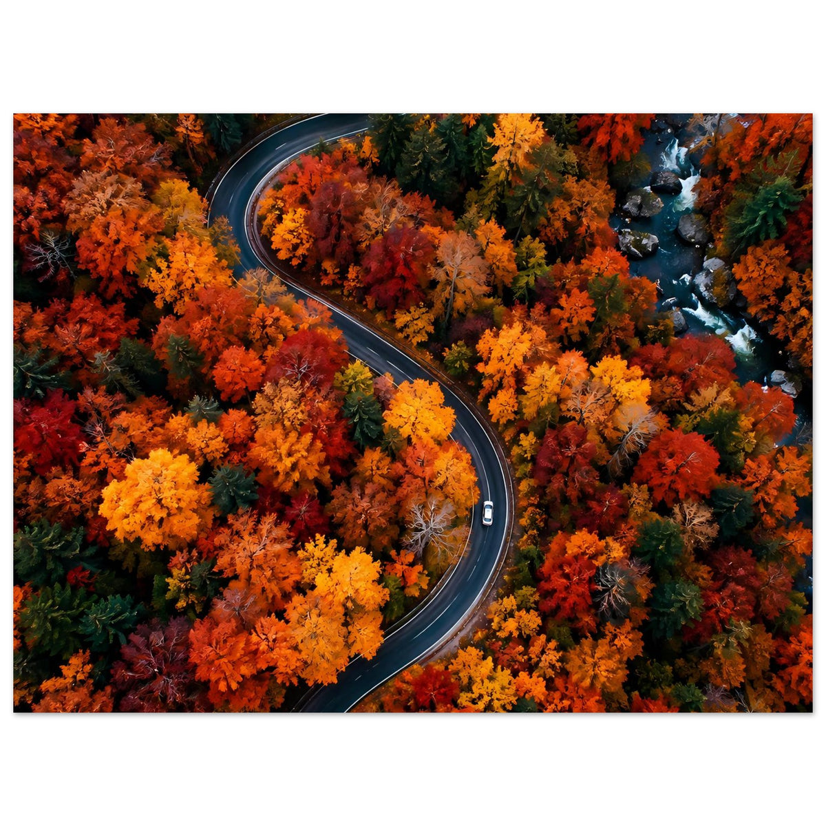 Poster mit kurviger Straße durch orange-gelbe Herbstwälder und Bach