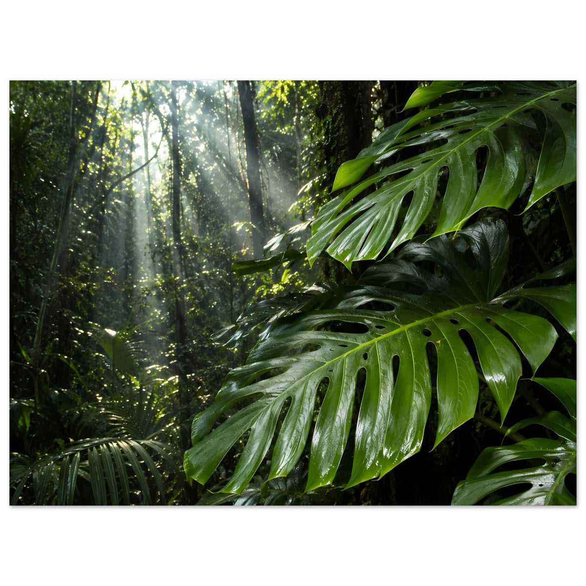 Dschungelposter mit grünen Blättern, tiefem Wald und Lichtschimmer, horizontales Layout