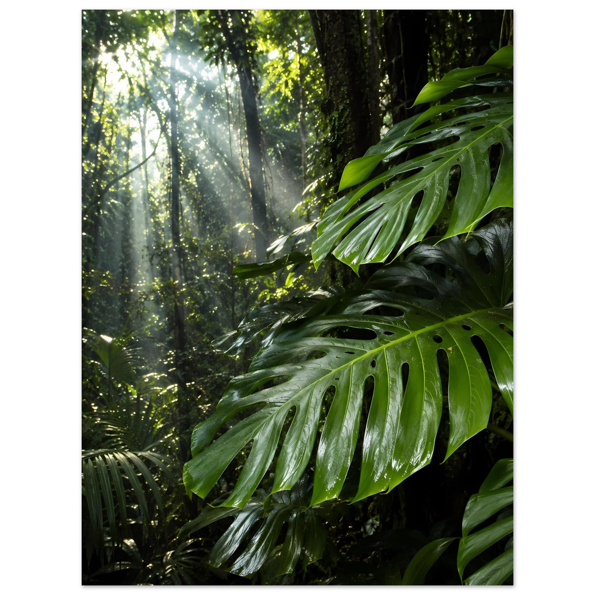 Jungle-Poster im Hochformat: grüne Monstera-Blätter, Lichtnebel und dunkle Baumstämme